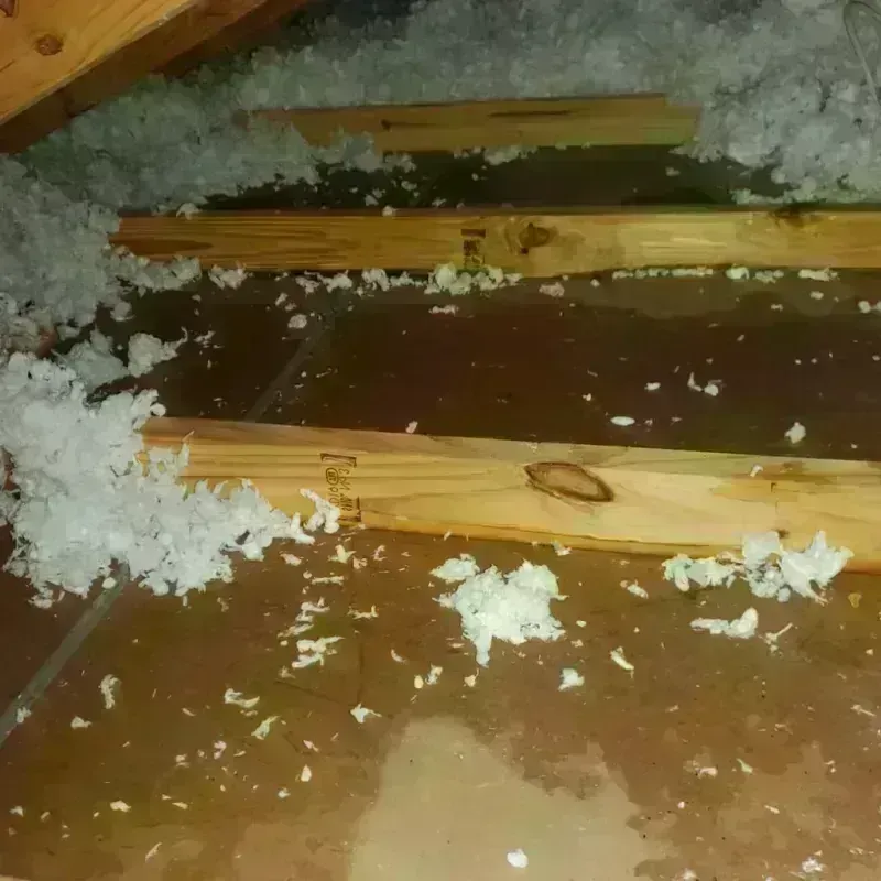 Attic Water Damage in Piperton, TN